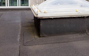 disadvantages of Brynsadler flat roofs