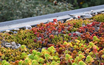 the cost of Brynsadler green roof installation