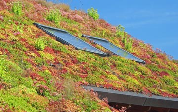 Brynsadler living roof systems