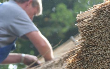 professional Brynsadler thatchers